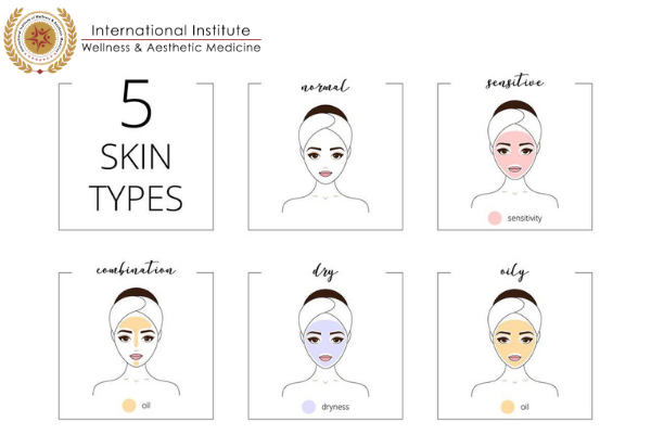  Types of skin